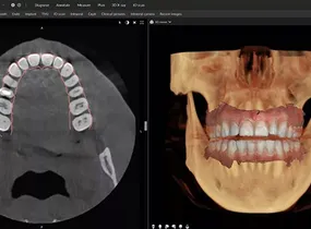 Dental Education
